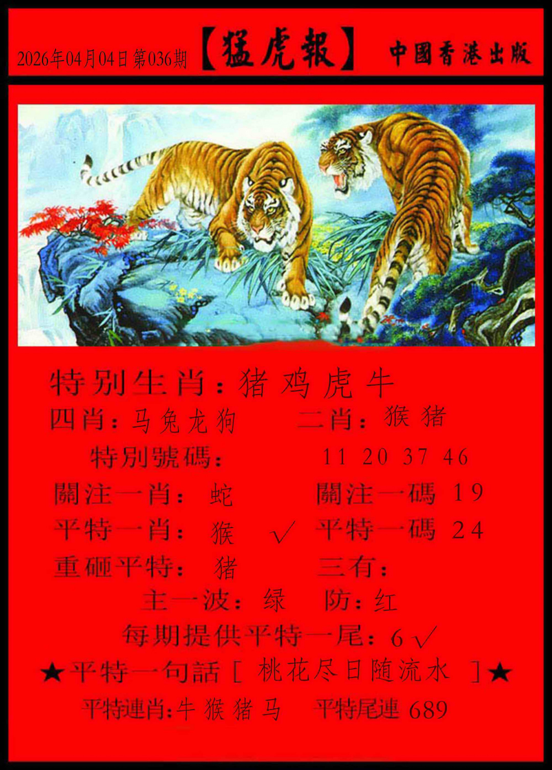 036期猛虎报[图]