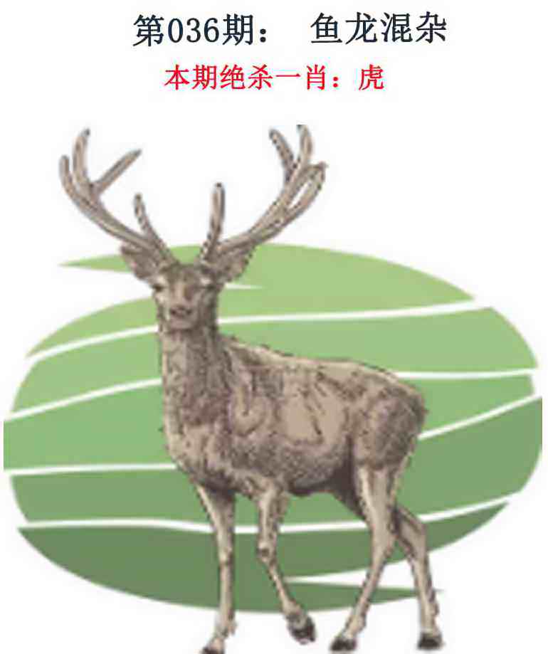 036期金钱豹自有真功夫[图]